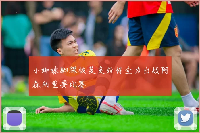 小蜘蛛脚踝恢复良好将全力出战阿森纳重要比赛