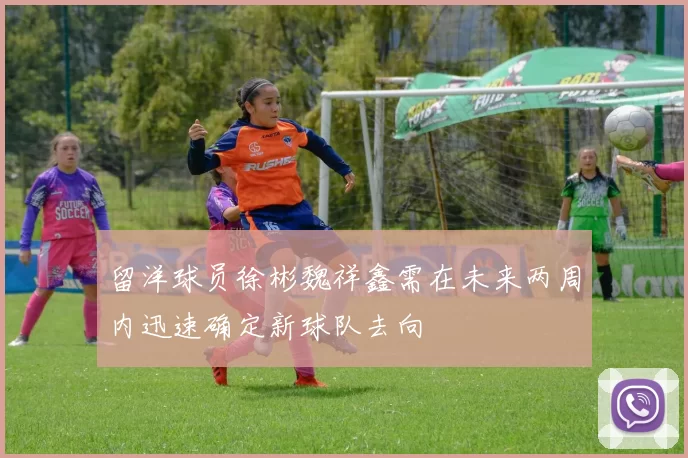 留洋球员徐彬魏祥鑫需在未来两周内迅速确定新球队去向